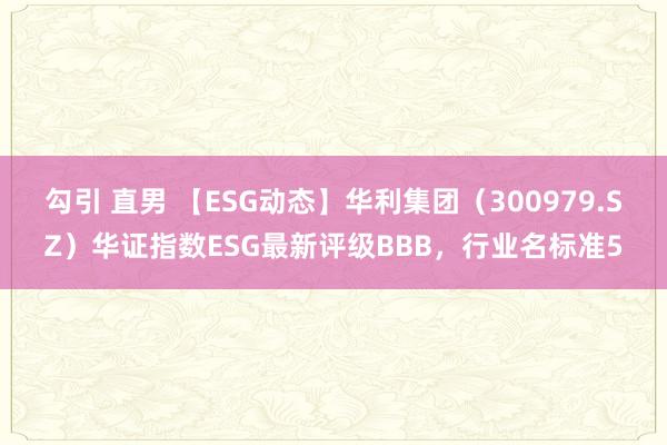 勾引 直男 【ESG动态】华利集团（300979.SZ）华证指数ESG最新评级BBB，行业名标准5