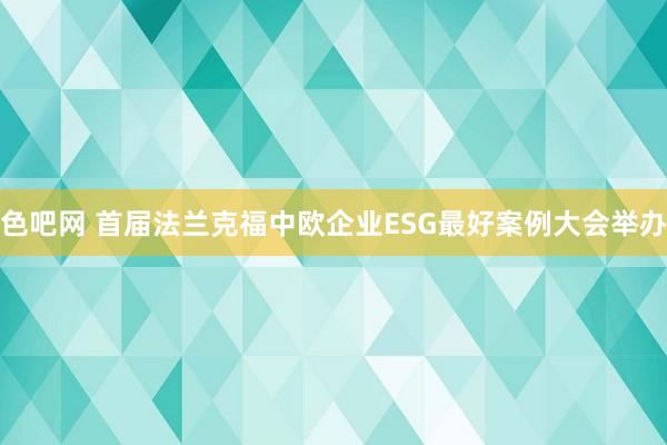 色吧网 首届法兰克福中欧企业ESG最好案例大会举办