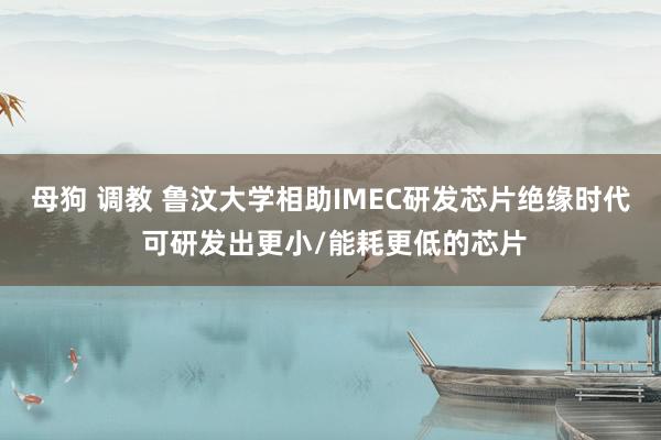 母狗 调教 鲁汶大学相助IMEC研发芯片绝缘时代 可研发出更小/能耗更低的芯片