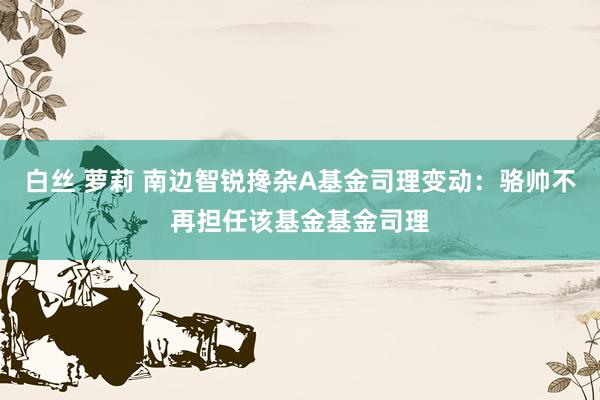 白丝 萝莉 南边智锐搀杂A基金司理变动：骆帅不再担任该基金基金司理