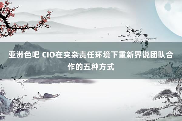 亚洲色吧 CIO在夹杂责任环境下重新界说团队合作的五种方式