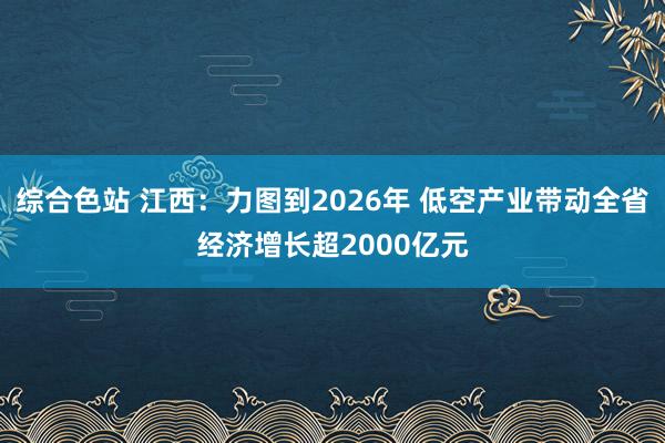 综合色站 江西：力图到2026年 低空产业带动全省经济增长超2000亿元