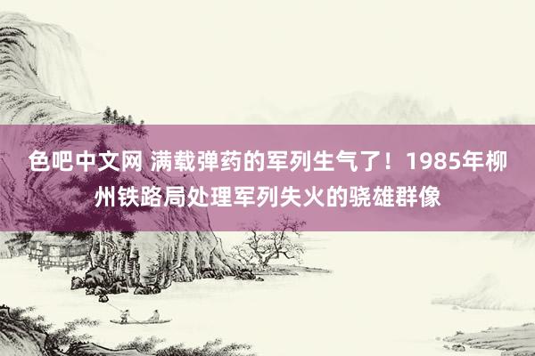 色吧中文网 满载弹药的军列生气了！1985年柳州铁路局处理军列失火的骁雄群像