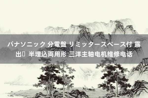 パナソニック 分電盤 リミッタースペース付 露出・半埋込両用形 三洋主轴电机维修电话