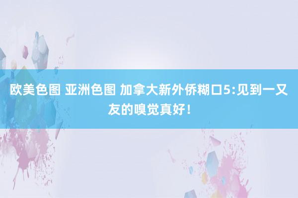 欧美色图 亚洲色图 加拿大新外侨糊口5:见到一又友的嗅觉真好！