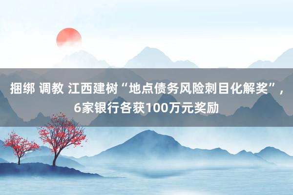 捆绑 调教 江西建树“地点债务风险刺目化解奖”，6家银行各获100万元奖励