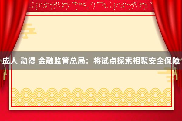 成人 动漫 金融监管总局：将试点探索相聚安全保障