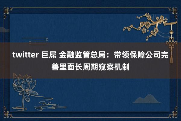 twitter 巨屌 金融监管总局：带领保障公司完善里面长周期窥察机制