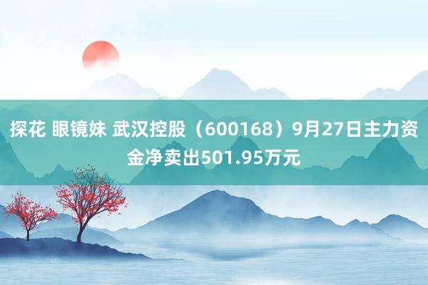 探花 眼镜妹 武汉控股（600168）9月27日主力资金净卖出501.95万元