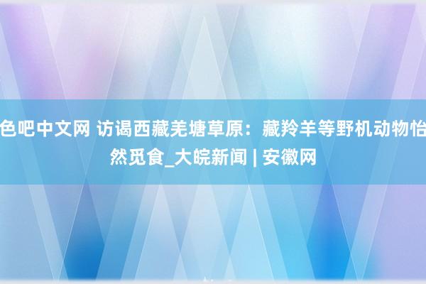 色吧中文网 访谒西藏羌塘草原：藏羚羊等野机动物怡然觅食_大皖新闻 | 安徽网