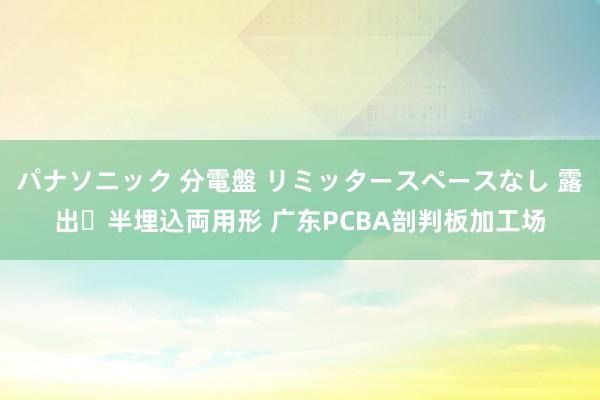 パナソニック 分電盤 リミッタースペースなし 露出・半埋込両用形 广东PCBA剖判板加工场