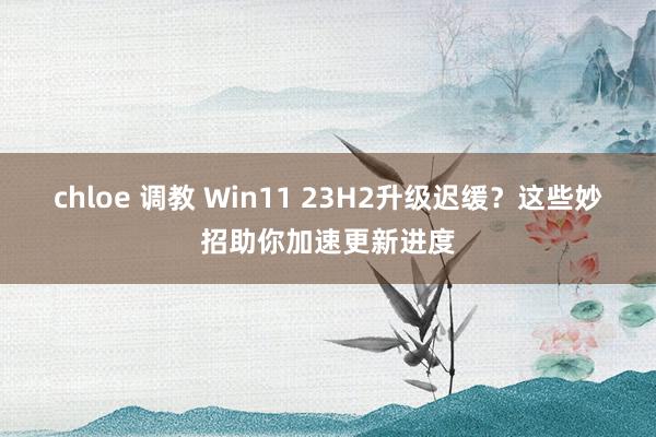 chloe 调教 Win11 23H2升级迟缓？这些妙招助你加速更新进度