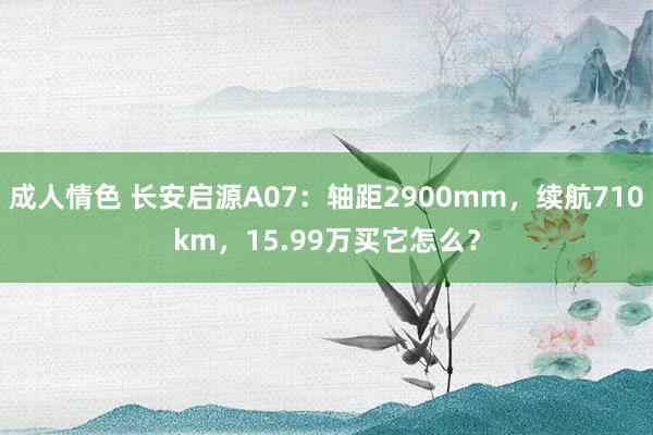 成人情色 长安启源A07：轴距2900mm，续航710km，15.99万买它怎么？