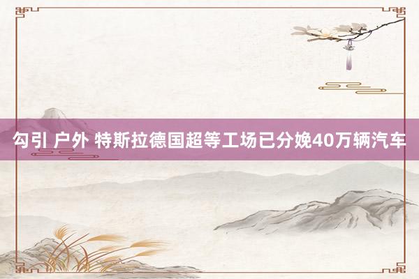 勾引 户外 特斯拉德国超等工场已分娩40万辆汽车