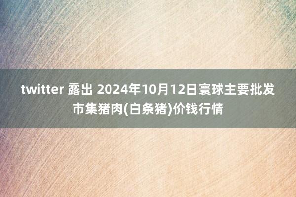 twitter 露出 2024年10月12日寰球主要批发市集猪肉(白条猪)价钱行情