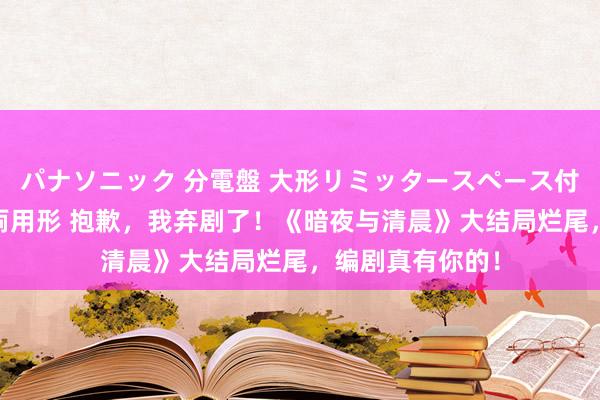 パナソニック 分電盤 大形リミッタースペース付 露出・半埋込両用形 抱歉，我弃剧了！《暗夜与清晨》大结局烂尾，编剧真有你的！