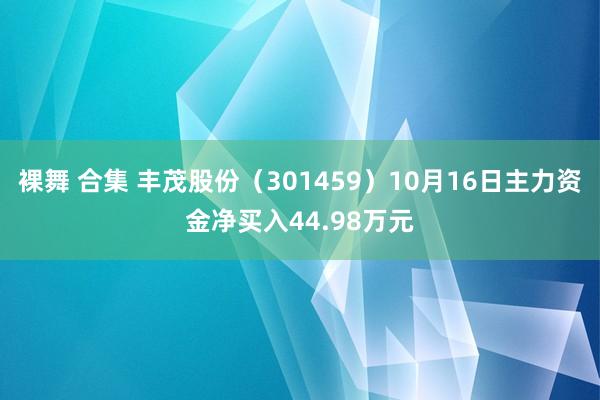 裸舞 合集 丰茂股份（301459）10月16日主力资金净买入44.98万元