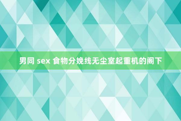 男同 sex 食物分娩线无尘室起重机的阁下