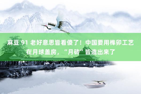 麻豆 91 老好意思皆看傻了！中国要用榫卯工艺在月球盖房，“月砖”皆造出来了