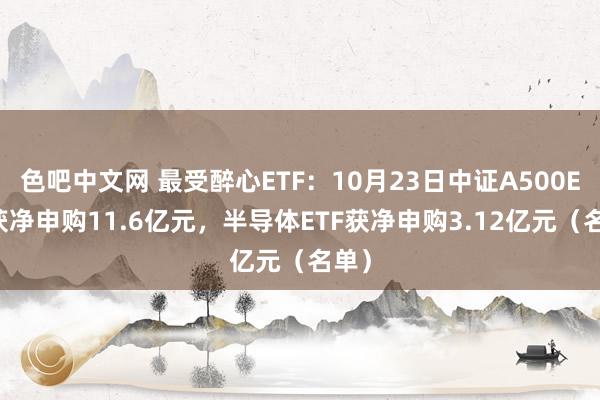 色吧中文网 最受醉心ETF：10月23日中证A500ETF获净申购11.6亿元，半导体ETF获净申购3.12亿元（名单）