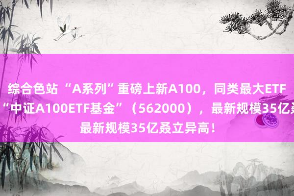 综合色站 “A系列”重磅上新A100，同类最大ETF同步改名“中证A100ETF基金”（562000），最新规模35亿叒立异高！