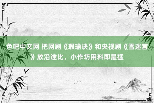 色吧中文网 把网剧《瑕瑜诀》和央视剧《雪迷宫》放沿途比，小作坊用料即是猛