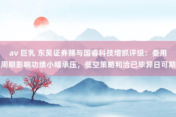 av 巨乳 东吴证券赐与国睿科技增抓评级：委用周期影响功绩小幅承压，低空策略和洽已毕异日可期