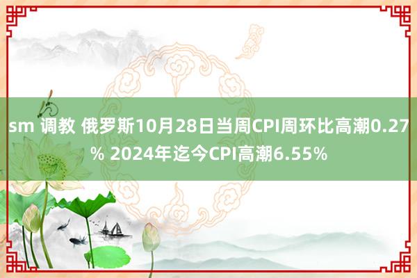 sm 调教 俄罗斯10月28日当周CPI周环比高潮0.27% 2024年迄今CPI高潮6.55%