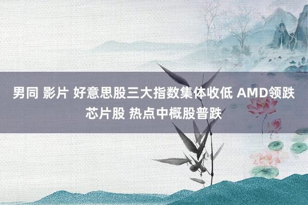 男同 影片 好意思股三大指数集体收低 AMD领跌芯片股 热点中概股普跌