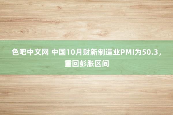 色吧中文网 中国10月财新制造业PMI为50.3，重回彭胀区间