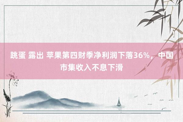 跳蛋 露出 苹果第四财季净利润下落36%，中国市集收入不息下滑