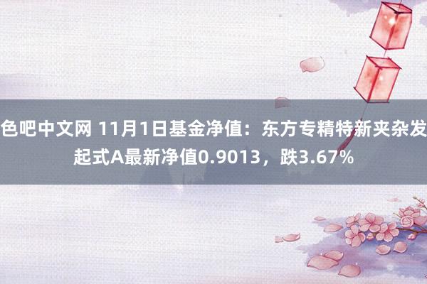 色吧中文网 11月1日基金净值：东方专精特新夹杂发起式A最新净值0.9013，跌3.67%