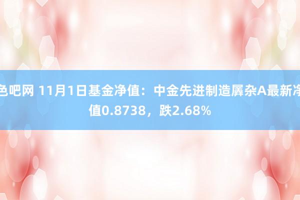 色吧网 11月1日基金净值：中金先进制造羼杂A最新净值0.8738，跌2.68%