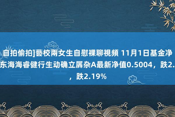 自拍偷拍]藝校兩女生自慰裸聊視頻 11月1日基金净值：东海海睿健行生动确立羼杂A最新净值0.5004，跌2.19%