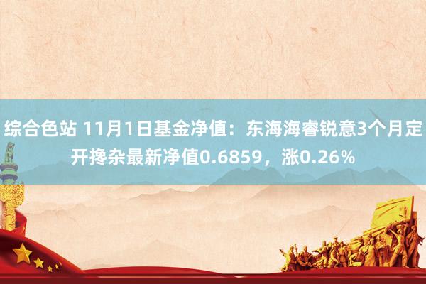 综合色站 11月1日基金净值：东海海睿锐意3个月定开搀杂最新净值0.6859，涨0.26%