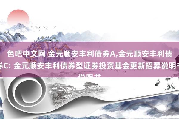 色吧中文网 金元顺安丰利债券A，金元顺安丰利债券C: 金元顺安丰利债券型证券投资基金更新招募说明书