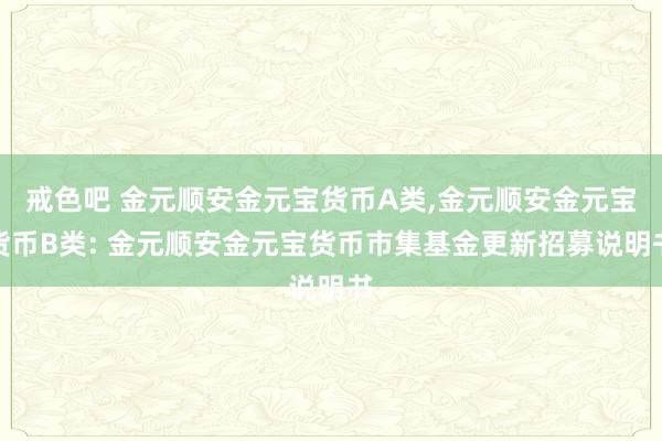 戒色吧 金元顺安金元宝货币A类，金元顺安金元宝货币B类: 金元顺安金元宝货币市集基金更新招募说明书