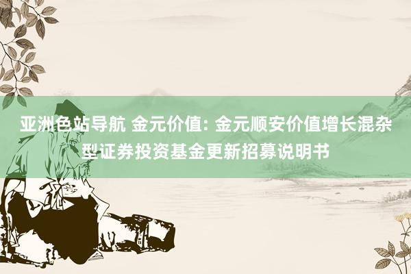 亚洲色站导航 金元价值: 金元顺安价值增长混杂型证券投资基金更新招募说明书