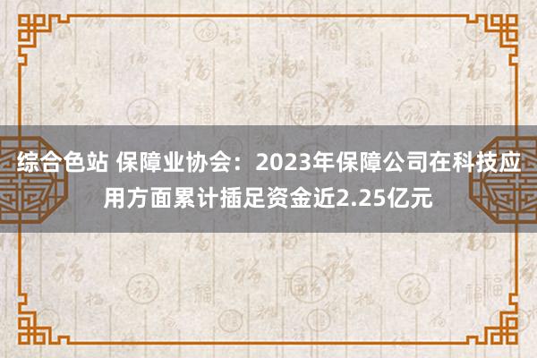 综合色站 保障业协会：2023年保障公司在科技应用方面累计插足资金近2.25亿元