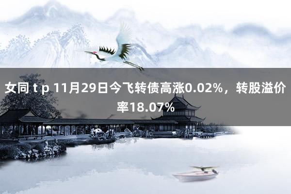 女同 t p 11月29日今飞转债高涨0.02%，转股溢价率18.07%